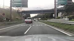 鵽;ʱƵ